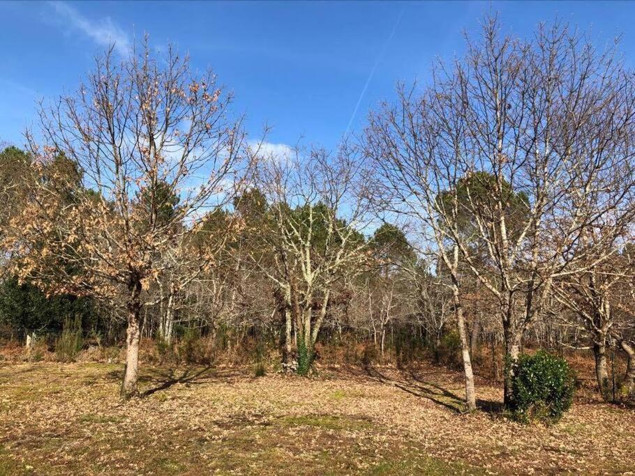 Maison Bois Tout Confort Proche Du Lac Et De L'Ocean Villa Hourtin Exteriör bild