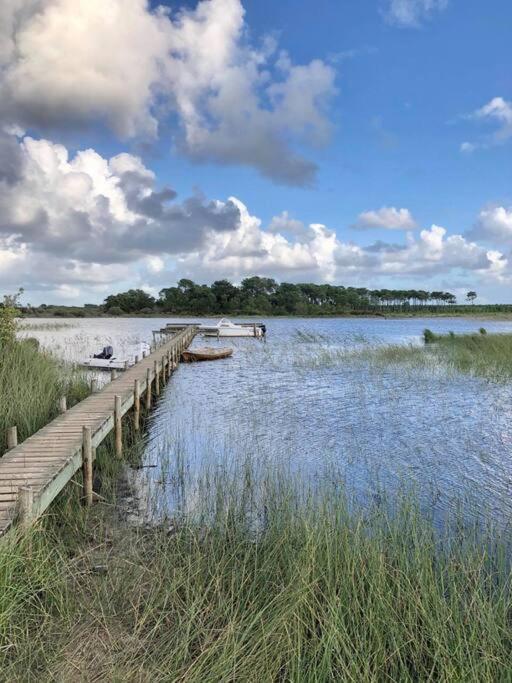 Maison Bois Tout Confort Proche Du Lac Et De L'Ocean Villa Hourtin Exteriör bild