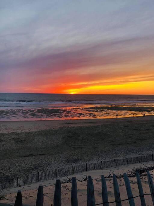 Maison Bois Tout Confort Proche Du Lac Et De L'Ocean Villa Hourtin Exteriör bild