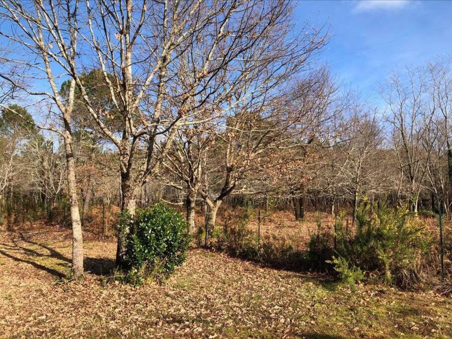 Maison Bois Tout Confort Proche Du Lac Et De L'Ocean Villa Hourtin Exteriör bild